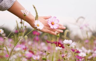 Girl on flower field
