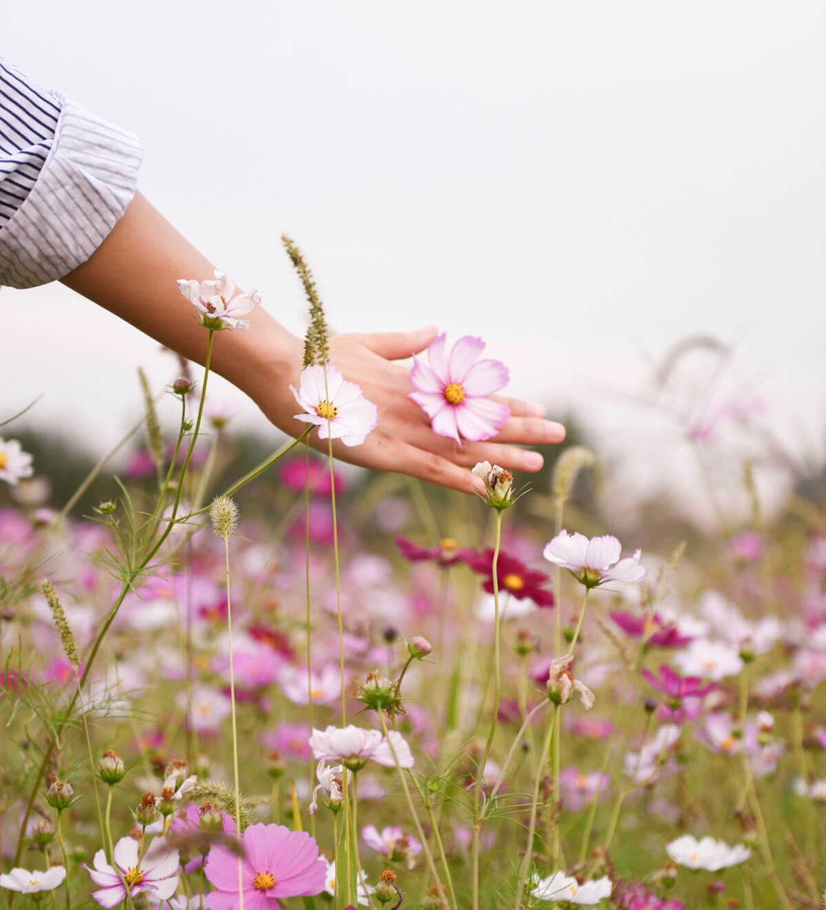 Girl on flower field Girl on flower field