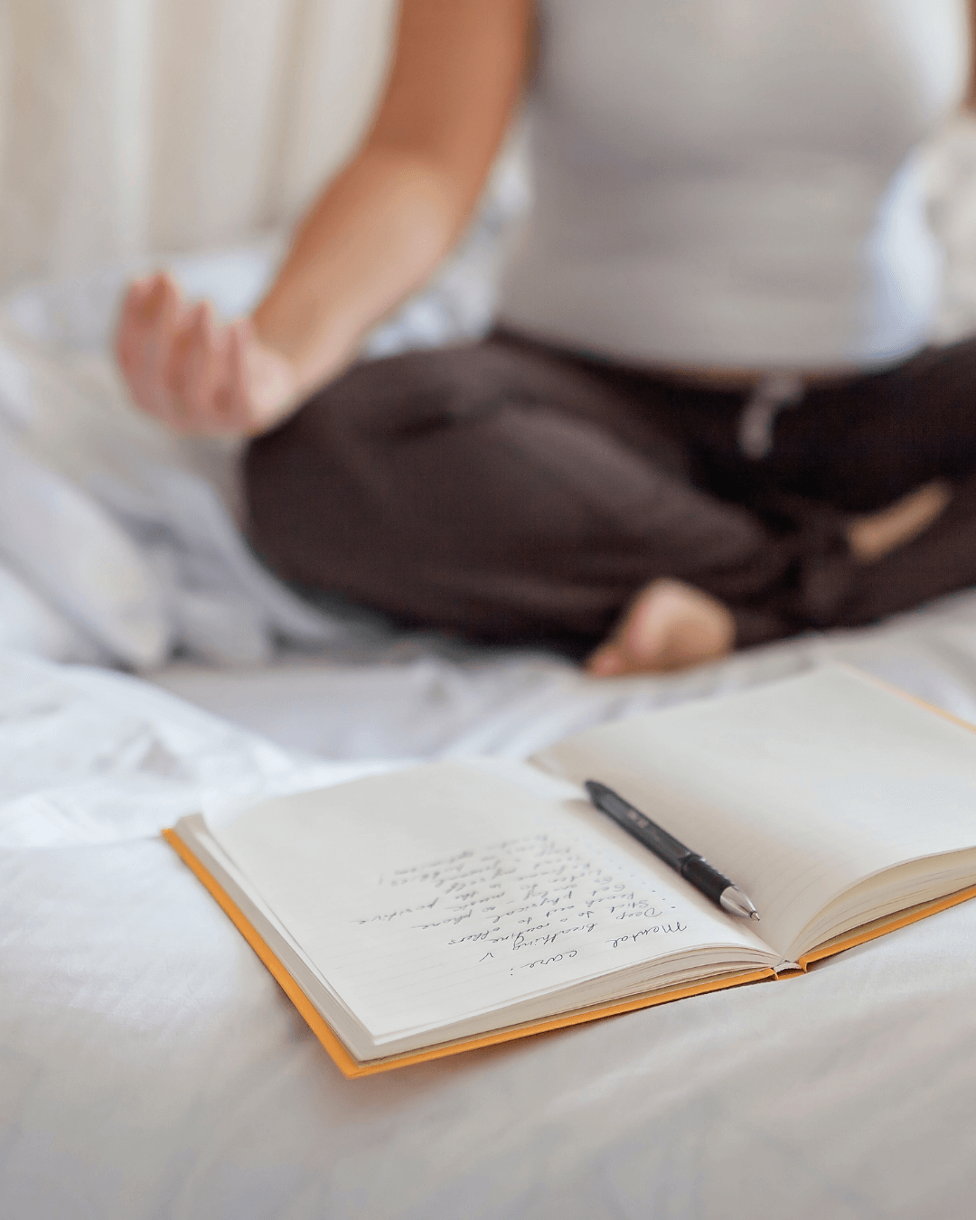 Meditation Meditation